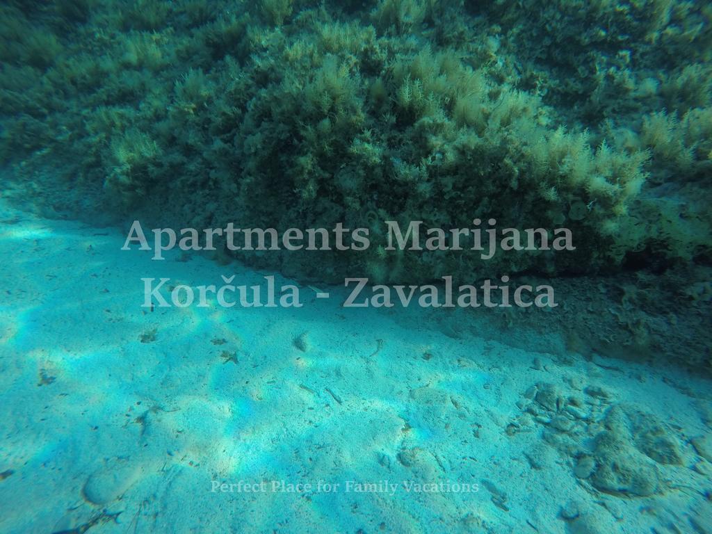 Apartments Marijana Zavalatica Eksteriør bilde
