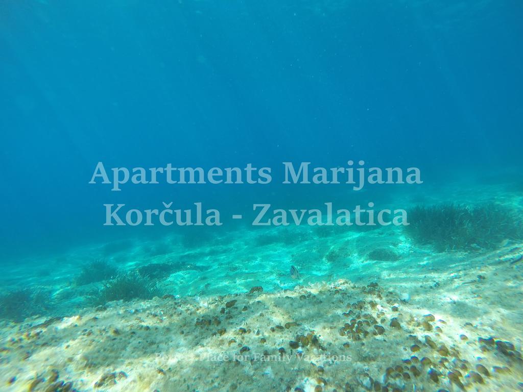 Apartments Marijana Zavalatica Eksteriør bilde